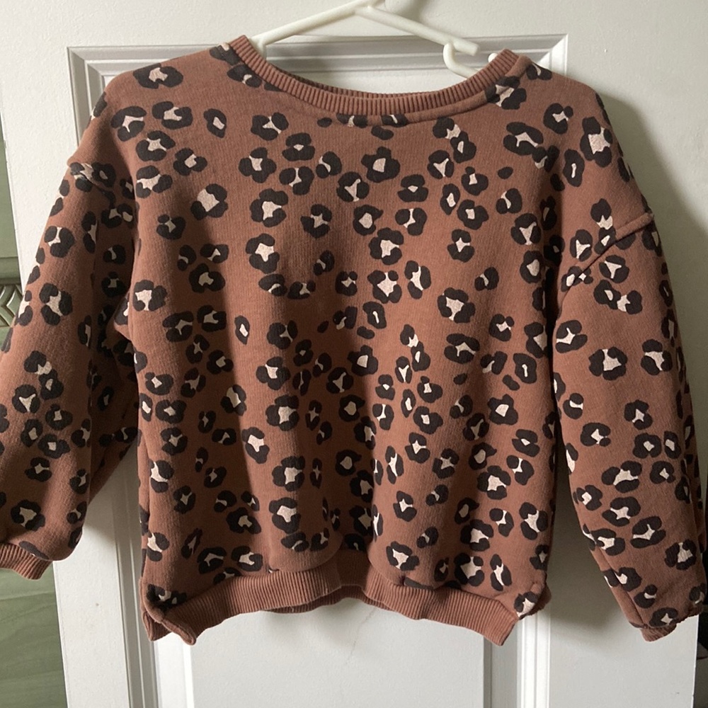 Zara Sweatshirt. Size 2-3.